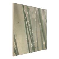 Bilderwelten Holzbild Makroaufnahme Wasserperlen am Gras