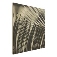 Bilderwelten Holzbild Schattenspiel auf Palmenwedel