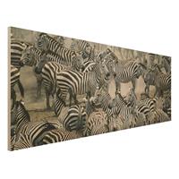 Bilderwelten Holzbild Tiere - Panorama Zebraherde