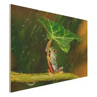 Bilderwelten Holzbild Tiere - Querformat 3:2 Ein Frosch im Regen