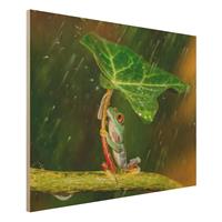Bilderwelten Holzbild Tiere - Querformat 4:3 Ein Frosch im Regen