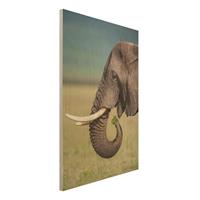 Bilderwelten Holzbild Tiere - Hochformat 2:3 ElefantenfÃ¼tterung Afrika