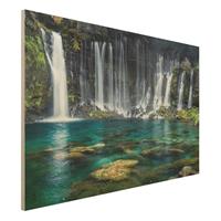 Bilderwelten Holzbild Shiraito Wasserfall