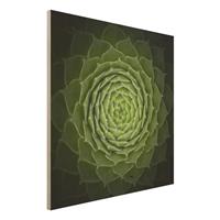 Bilderwelten Holzbild Blumen - Quadrat Mandala Sukkulente