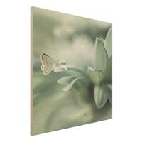 Bilderwelten Holzbild Blumen - Quadrat Schmetterling und Tautropfen in PastellgrÃ¼n