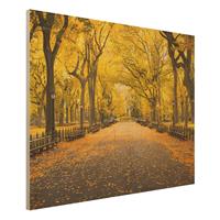 Bilderwelten Holzbild Herbst im Central Park