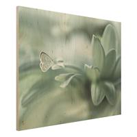 Bilderwelten Holzbild Blumen - Querformat 4:3 Schmetterling und Tautropfen in PastellgrÃ¼n