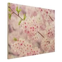 Bilderwelten Holzbild Japanische KirschblÃ¼ten
