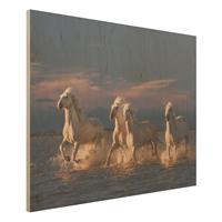 Bilderwelten Holzbild Tiere - Querformat 4:3 Wilde Pferde in Kamargue