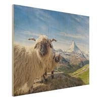 Bilderwelten Holzbild Schwarznasenschafe von Zermatt