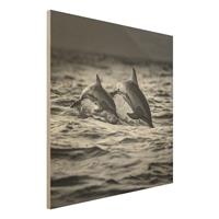 Bilderwelten Holzbild Schwarz-WeiÃŸ - Quadrat Zwei springende Delfine