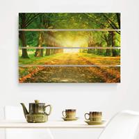 Bilderwelten Holzbild Plankenoptik Natur & Landschaft - Querformat Autumn Avenue