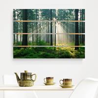 Bilderwelten Holzbild Plankenoptik Natur & Landschaft - Querformat Enlightened Forest