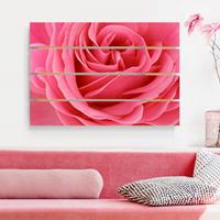 Bilderwelten Holzbild Plankenoptik Blumen - Querformat Lustful Pink Rose