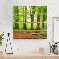 Bilderwelten Holzbild Plankenoptik Natur & Landschaft - Quadrat Mighty Beech Trees