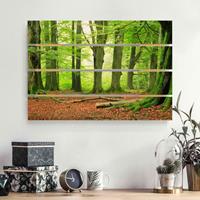 Bilderwelten Holzbild Plankenoptik Natur & Landschaft - Querformat Mighty Beech Trees