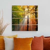 Bilderwelten Holzbild Plankenoptik Natur & Landschaft - Quadrat Morning Light