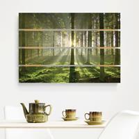 Bilderwelten Holzbild Plankenoptik Natur & Landschaft - Querformat Spring Fairytale