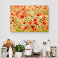 Bilderwelten Holzbild Plankenoptik Blumen - Querformat Summer Poppies