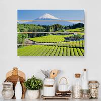 Bilderwelten Holzbild Plankenoptik Natur & Landschaft - Querformat Teefelder vor dem Fuji