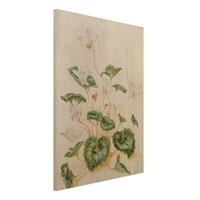 Bilderwelten Holzbild Blumen - Hochformat 3:4 Anna Maria Sibylla Merian - WeiÃŸe Veilchen