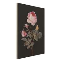 Bilderwelten Holzbild Blumen - Hochformat 3:4 Barbara Regina Dietzsch - Die hundertblÃttrige Rose