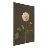 Bilderwelten Holzbild Blumen - Hochformat 3:4 Barbara Regina Dietzsch - Essig-Rose mit Hummel