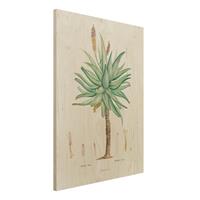 Bilderwelten Holzbild Blumen - Hochformat 3:4 Botanik Vintage Illustration Aloe