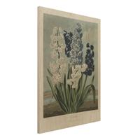 Bilderwelten Holzbild Blumen - Hochformat 3:4 Botanik Vintage Illustration Blaue und weiÃŸe Hyazinthen