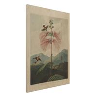 Bilderwelten Holzbild Tiere - Hochformat 3:4 Botanik Vintage Illustration BlÃ¼te und Kolibri