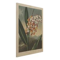Bilderwelten Holzbild Blumen - Hochformat 3:4 Botanik Vintage Illustration Ingwer mit BlÃ¼te