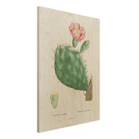 Bilderwelten Holzbild Blumen - Hochformat 3:4 Botanik Vintage Illustration Kaktus Rosa BlÃ¼te