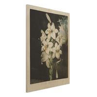 Bilderwelten Holzbild Blumen - Hochformat 3:4 Botanik Vintage Illustration WeiÃŸe Lilie