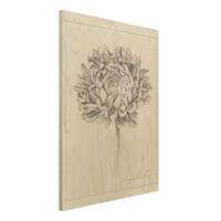 Bilderwelten Holzbild Blumen - Hochformat 3:4 Botanische Studie Chrysantheme II