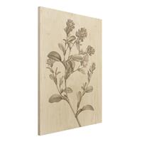 Bilderwelten Holzbild Blumen - Hochformat 3:4 Botanische Studie in Sepia I