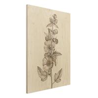 Bilderwelten Holzbild Blumen - Hochformat 3:4 Botanische Studie in Sepia II