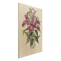 Bilderwelten Holzbild Blumen - Hochformat 2:3 Maxim Gauci - Orchidee I
