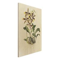 Bilderwelten Holzbild Blumen - Hochformat 2:3 Maxim Gauci - Orchidee II