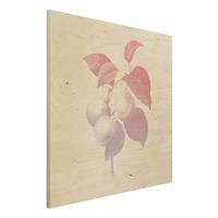 Bilderwelten Holzbild Blumen - Quadrat Modern Vintage Botanik Pfirsich Rosa Violett