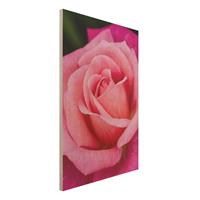 Bilderwelten Holzbild Blumen - Hochformat 2:3 Pinke RosenblÃ¼te vor GrÃ¼n