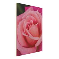 Bilderwelten Holzbild Blumen - Hochformat 3:4 Pinke RosenblÃ¼te vor GrÃ¼n
