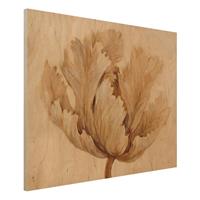 Bilderwelten Holzbild Blumen - Querformat 4:3 Sepia Tulpe auf Holz