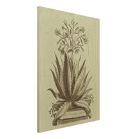 Bilderwelten Holzbild Blumen - Hochformat 3:4 Vintage Aloe Serrata