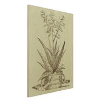 Bilderwelten Holzbild Blumen - Hochformat 3:4 Vintage Aloe Vera Costa Spinosa