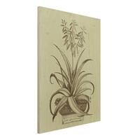 Bilderwelten Holzbild Blumen - Hochformat 3:4 Vintage Aloe Vera Vulgaris
