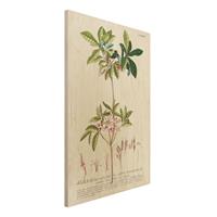 Bilderwelten Holzbild Blumen - Hochformat 2:3 Vintage Botanik Illustration Azalee