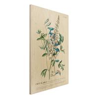 Bilderwelten Holzbild Blumen - Hochformat 2:3 Vintage Botanik Illustration HÃ¼lsenfrÃ¼chte