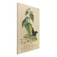 Bilderwelten Holzbild Blumen - Hochformat 2:3 Vintage Botanik Illustration Kakao