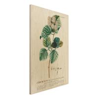 Bilderwelten Holzbild Blumen - Hochformat 2:3 Vintage Botanik Illustration Schneeball