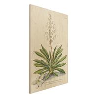 Bilderwelten Holzbild Blumen - Hochformat 2:3 Vintage Botanik Illustration Yucca